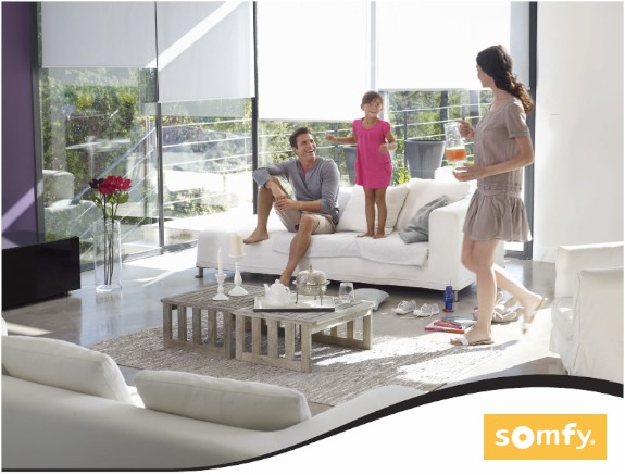 Somfy Systems Motors Compnents Parts - Automated Shade Online Store